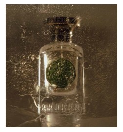 Hybrid Gaya Green 75 ml - Anfas