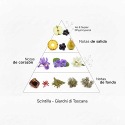 Scintilla - Giardini di Toscana