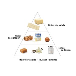 Praline Maligne 50 ml - Jousset Parfums