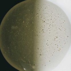 Facial Chemical Peeling - Olevi
