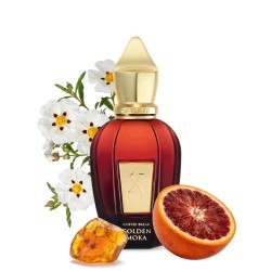 Golden Moka 50 ml - Xerjoff