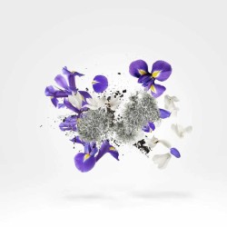 Apollonia 50 ml - Xerjoff
