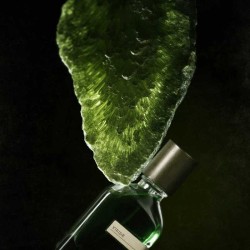 Viride 50 ml - Orto Parisi