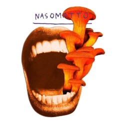 Micodelirio - Nasomatto