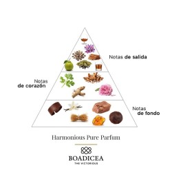 Harmonious Pure Parfum 100 ml - Boadicea The Victorious