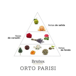 Brutus 50 ml - Orto Parisi
