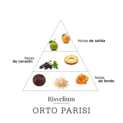 Risvelium 50 ml - Orto Parisi