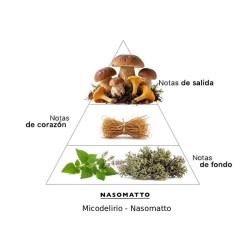 Micodelirio - Nasomatto