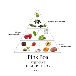Pink Boa 50 ml - Stephane Humbert Lucas