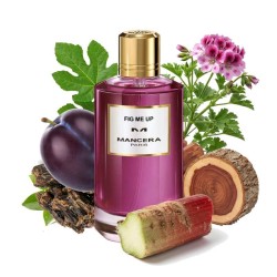 Fig Me Up - Mancera Paris
