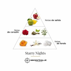 Starry Nights 100ml - Montale Paris