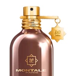 Arabians Musk 100 ml - Montale Paris