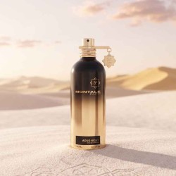 Aoud Night 100 ml - Montale Paris