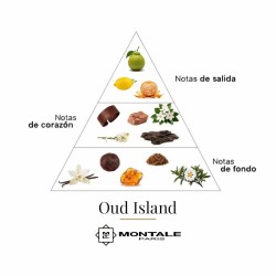 Oud Island 100 ml - Montale Paris