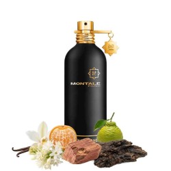 Oud Island 100 ml - Montale Paris