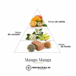 Mango Manga 100 ml - Montale Paris
