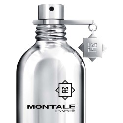 Mango Manga 100 ml - Montale Paris