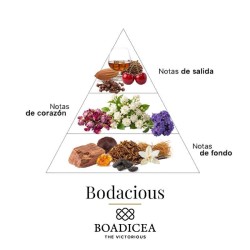 Bodacious 100 ml - Boadicea The Victorious