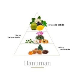 Hanuman Pure Parfum 100 ml - Boadicea The Victorious