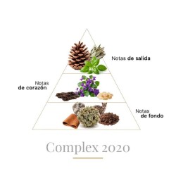 Complex 2020 Pure Parfum 100 ml - Boadicea The Victorious