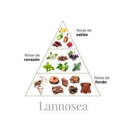 Lannosea 100 ml - Boadicea