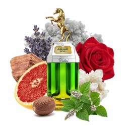 Dubai Abjar Bois EDP 90 ml - The Spirit of Dubai