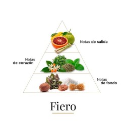 Fiero - Casamorati