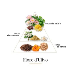 Fiore d'Ulivo - Casamorati
