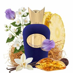 Accento Viola 100 ml - Sospiro