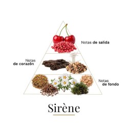 Siréne 75 ml - Fragrance Du Bois