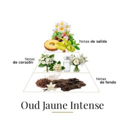 Oud Jaune Intense 100 ml - Fragrance Du Bois