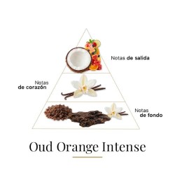 Oud Orange Intense 100 ml - Fragrance Du Bois