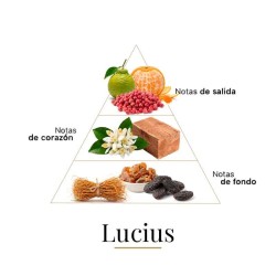 Lucius - Fragrance Du Bois