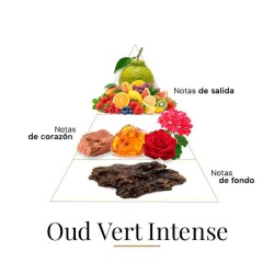 Oud Vert Intense 100 ml - Fragrance Du Bois