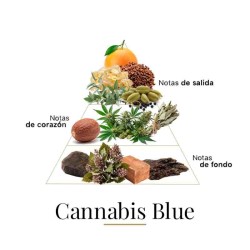 Cannabis Blue 100 ml - Fragrance Du Bois