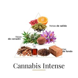 Cannabis Intense 100 ml - Fragrance Du Bois