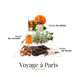 Voyage À Paris Extrait 100ml - Fragrance Du Bois