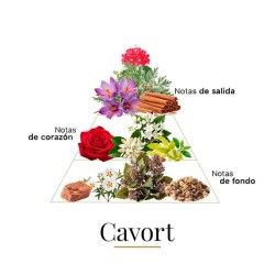Cavort 100 ml - Fragrance Du Bois