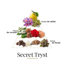 Secret Tryst 100 ml - Fragrance Du Bois