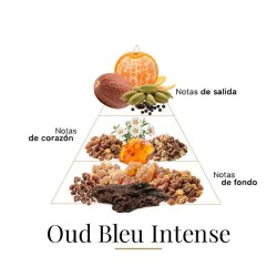 Oud Bleu Intense 100 ml - Fragrance Du Bois