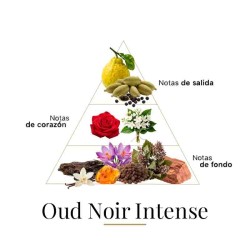 Oud Noir Intense 100 ml - Fragrance Du Bois