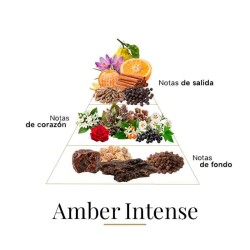 Amber Intense 100 ml - Fragrance Du Bois