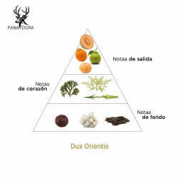 Dux Orientis - Pana Dora Sweden