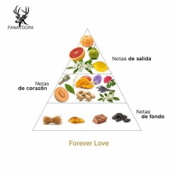 Forever Love - Pana Dora Sweden