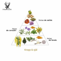 Kropp & själ - Pana Dora Sweden