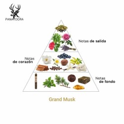 Grand Musk - Pana Dora Sweden