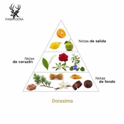 Dorasima - Pana Dora Sweden