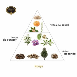 Roeya EDP 50 ml - The Spirit of Dubai