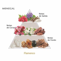Flamenco EDP - Ramon Monegal