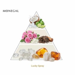 Lucky Spray 75 ml - Ramon Monegal